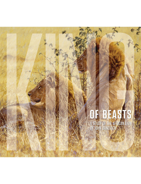 King Of Beasts: A Study Of The African Lion By John Banovich