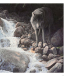 Wild in Europe - Watercolor Art by Renso Tamse - DIGITAL EDITION