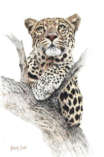 Way Over Yonder - Painting by Lindsay Scott